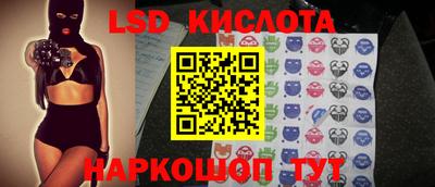 крисы Новозыбков