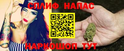 крисы Новозыбков