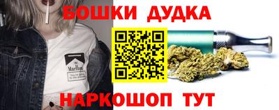 крисы Новозыбков