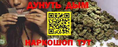 крисы Новозыбков