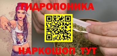 дурь Новодвинск