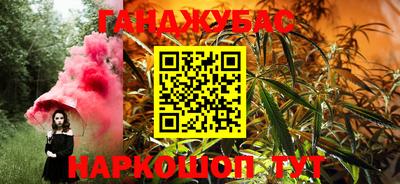 крисы Новозыбков