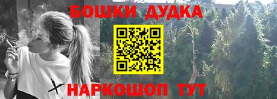крисы Новозыбков