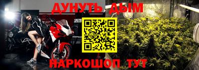 крисы Новозыбков