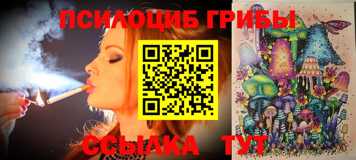 Псилоцибиновые грибы GOLDEN TEACHER Шарыпово